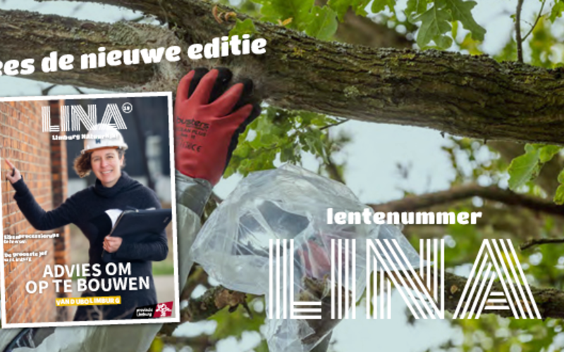 De Huisdokter in LiNA Magazine